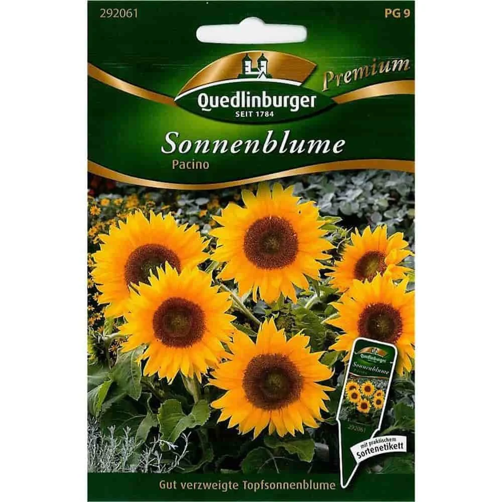 "Sonnenblumen, Pacino image"