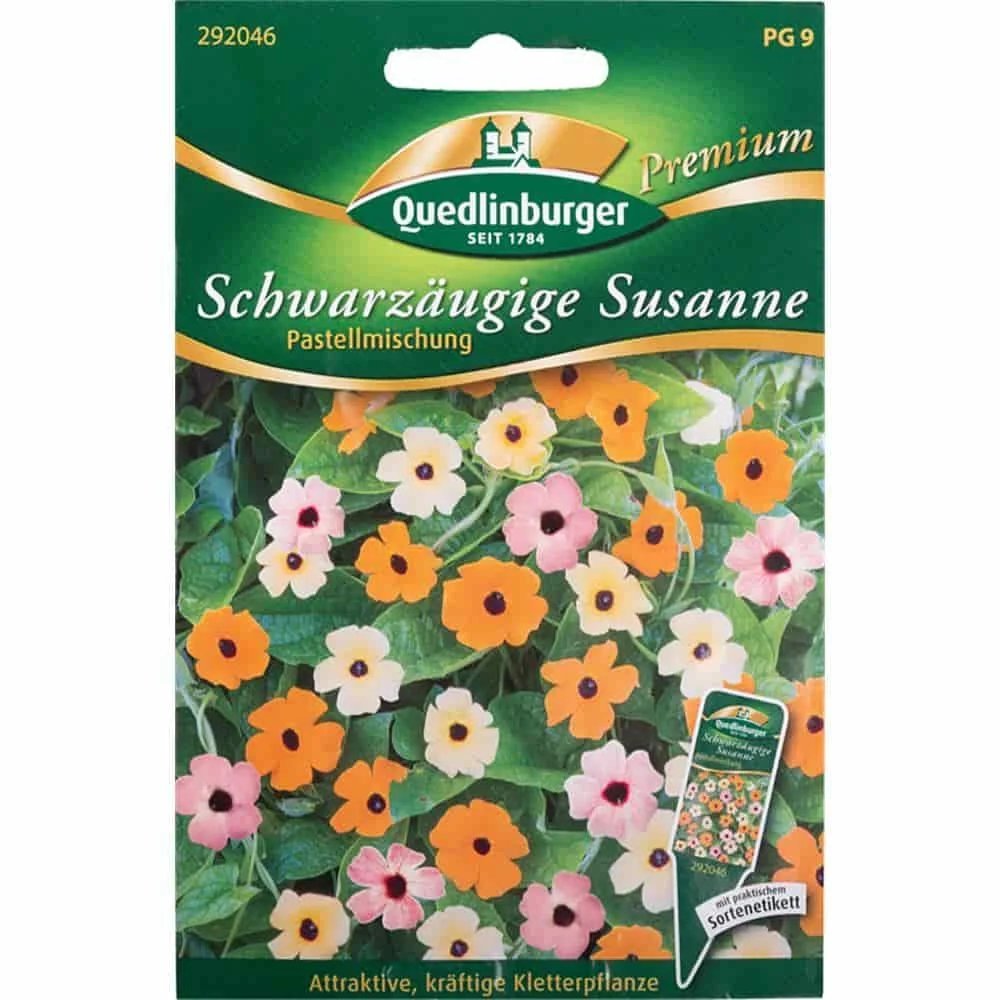 "Schwarzäugige Susanne Samen, Kletterpflanze Pastell Selektion, einjährige Kletterpflanze image"