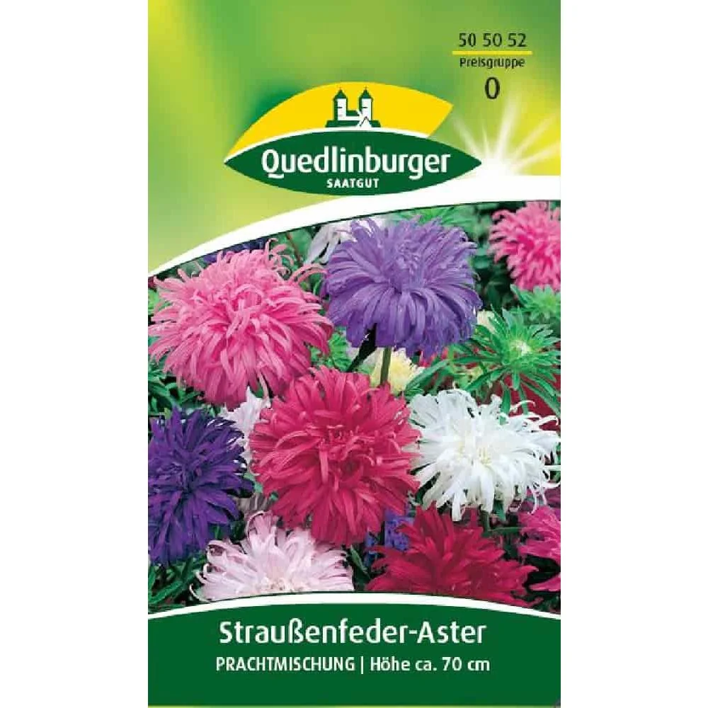 "Aster Samen, Straussenfederaster Mischung image"