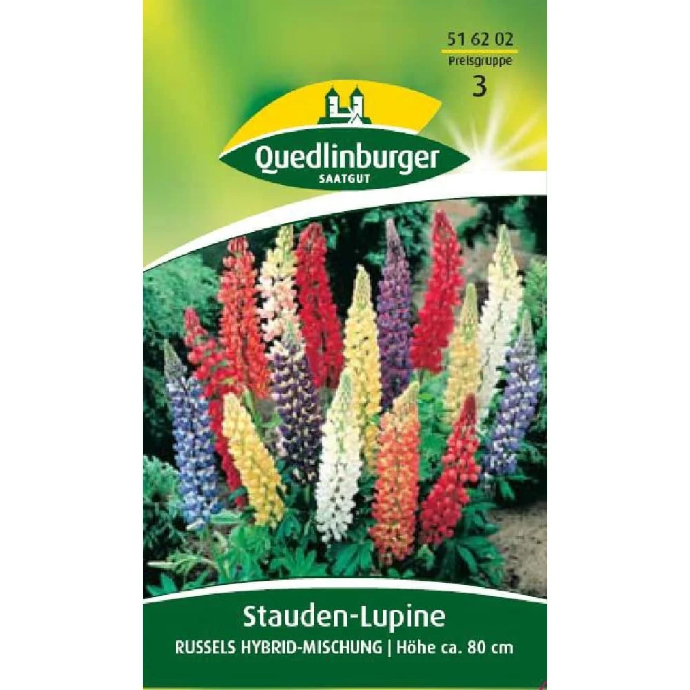 "Lupinen kaufen, Stauden-Lupine, Russels Hybridmischung image"