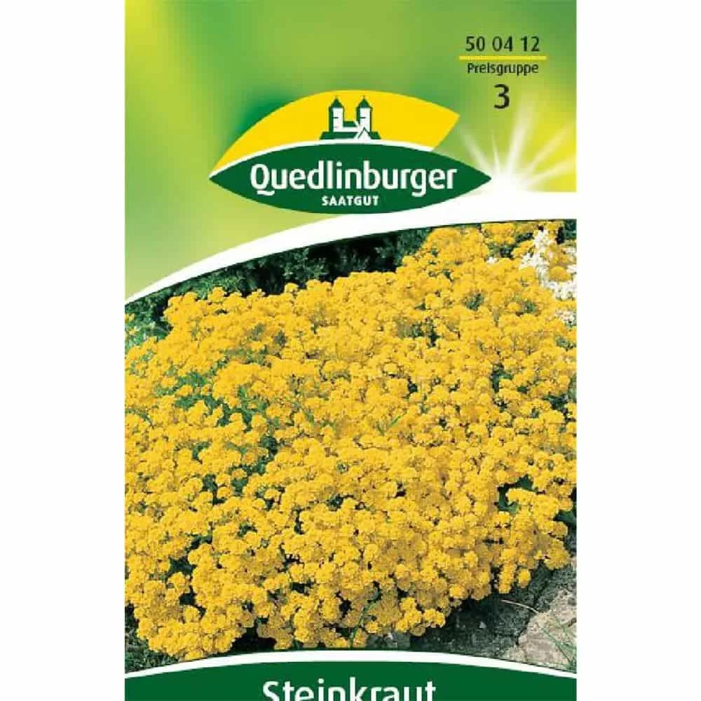 "Steinkraut, Goldkörbchen image"