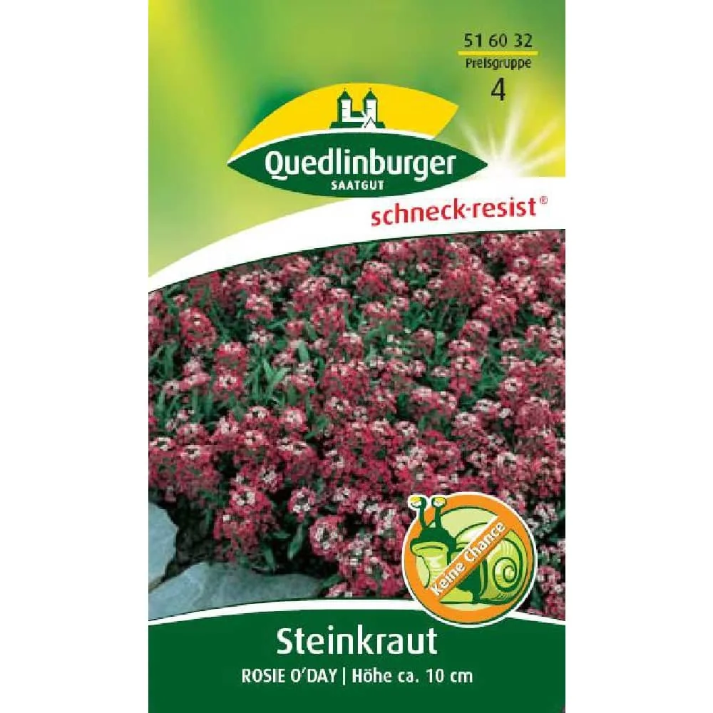 "Steinkraut, Rosie O'Day image"