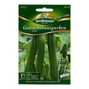 Gewächshausgurke, Bella F1, Schlangengurke, ertragreich