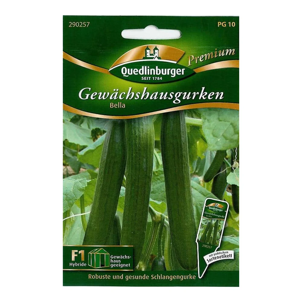 "Gewächshausgurke, Bella F1, Schlangengurke, ertragreich image"