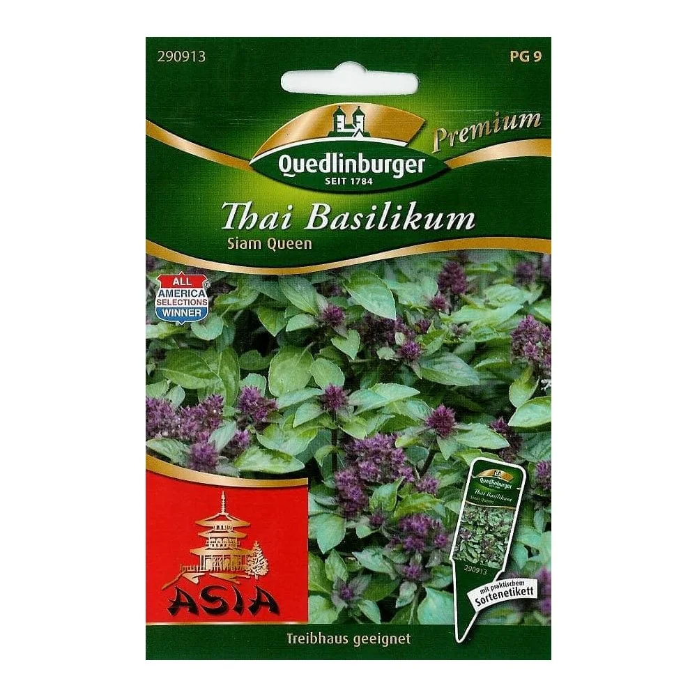 "Thai Basilikum Siam Queen, duftendes Kraut für Thai Küche & Balkon image"