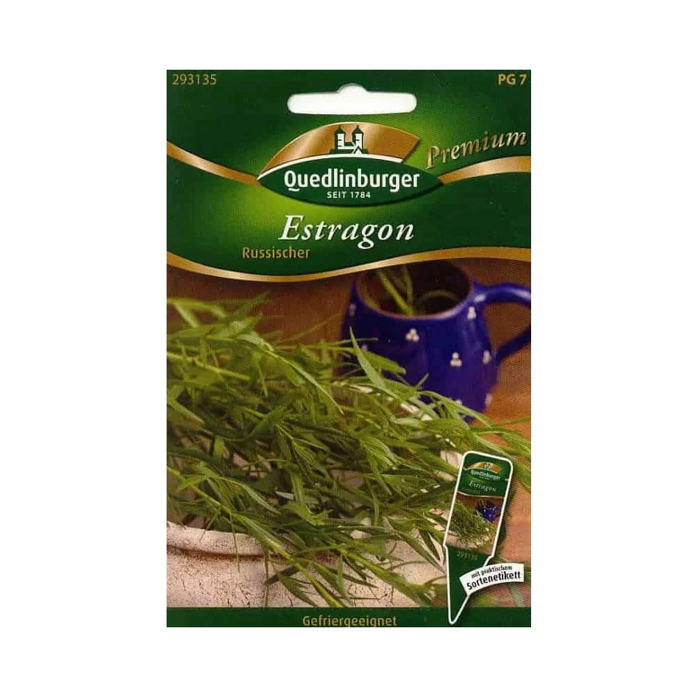 "Estragon kaufen, Russischer, mehrjährig image"