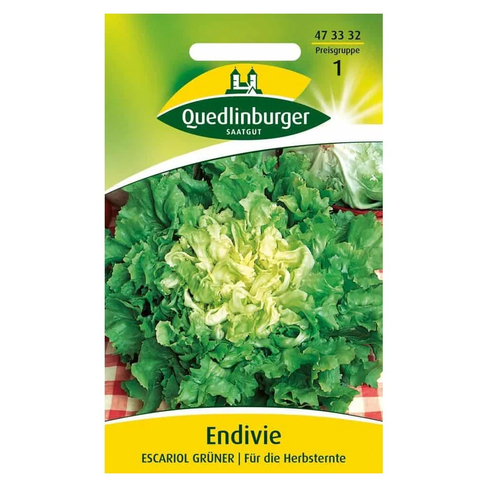 "Endivie, Escariol grüner image"
