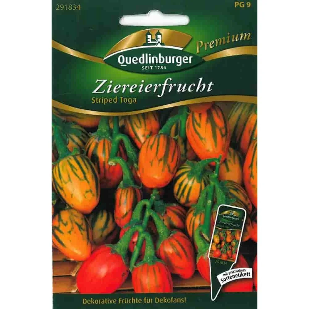 Ziereierfrucht, Striped Toga, Zierpflanze für Garten & Floristik