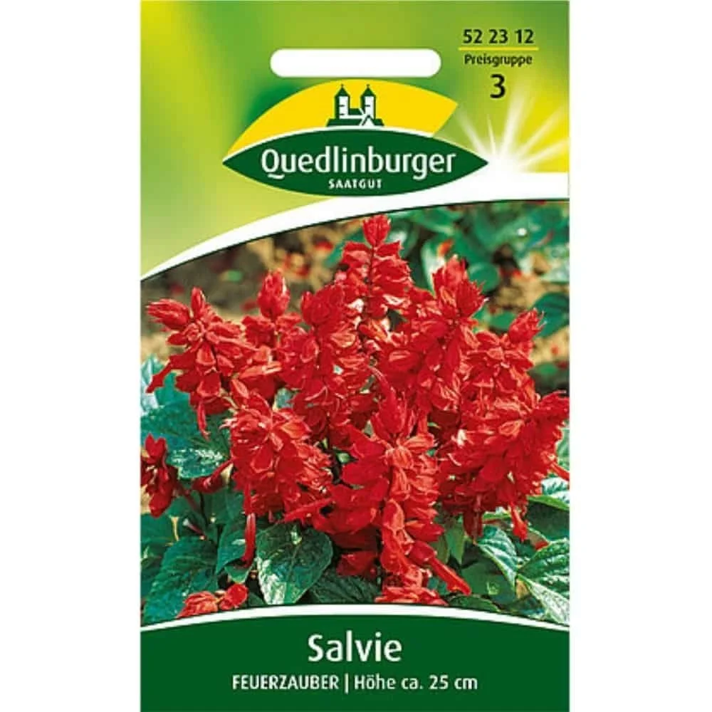 "Salbei Feuerzauber, Ziersalbei für Balkon & Garten image"