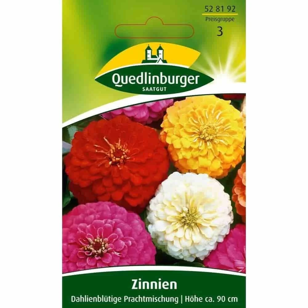 "Zinnie, Dahlienblütige Prachtmischung image"