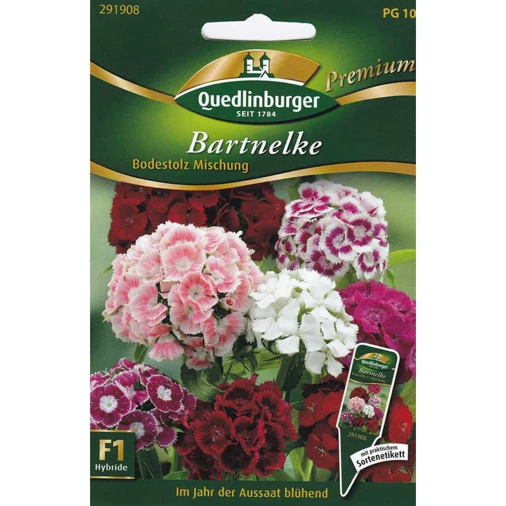 "Bartnelken, Bodestolz Mischung F1, Blumensamen kaufen image"