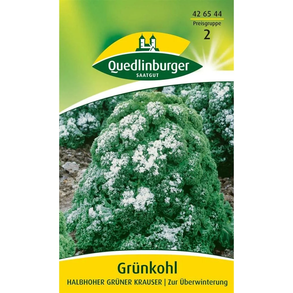 "Grünkohl, Halbhoher, Krauser, Wintergemüse image"