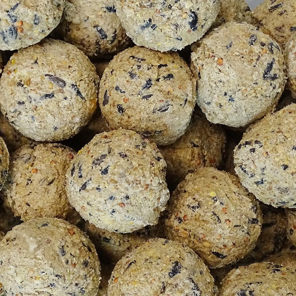 "Meisenknödel 200 x ca.90 Gramm ohne Netz image"