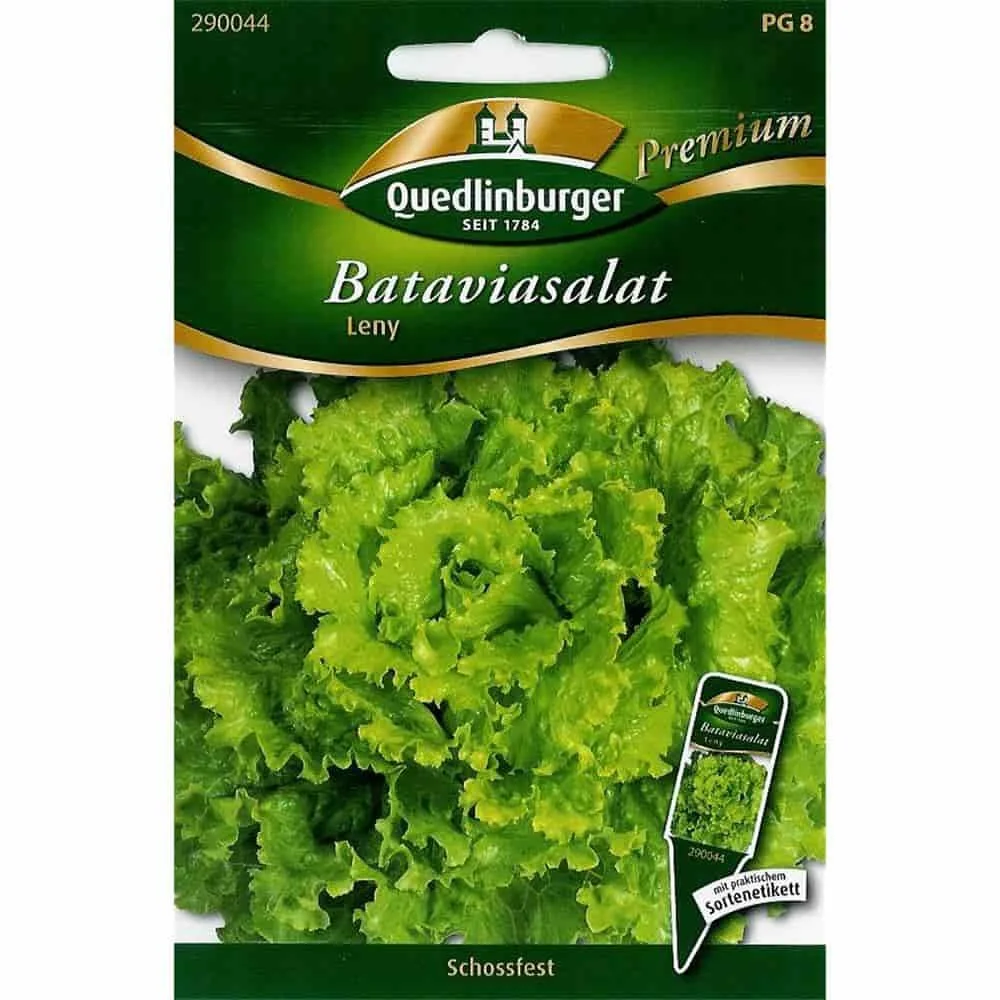 "Salatsamen, Bataviasalat Leny, schossfester Salat image"