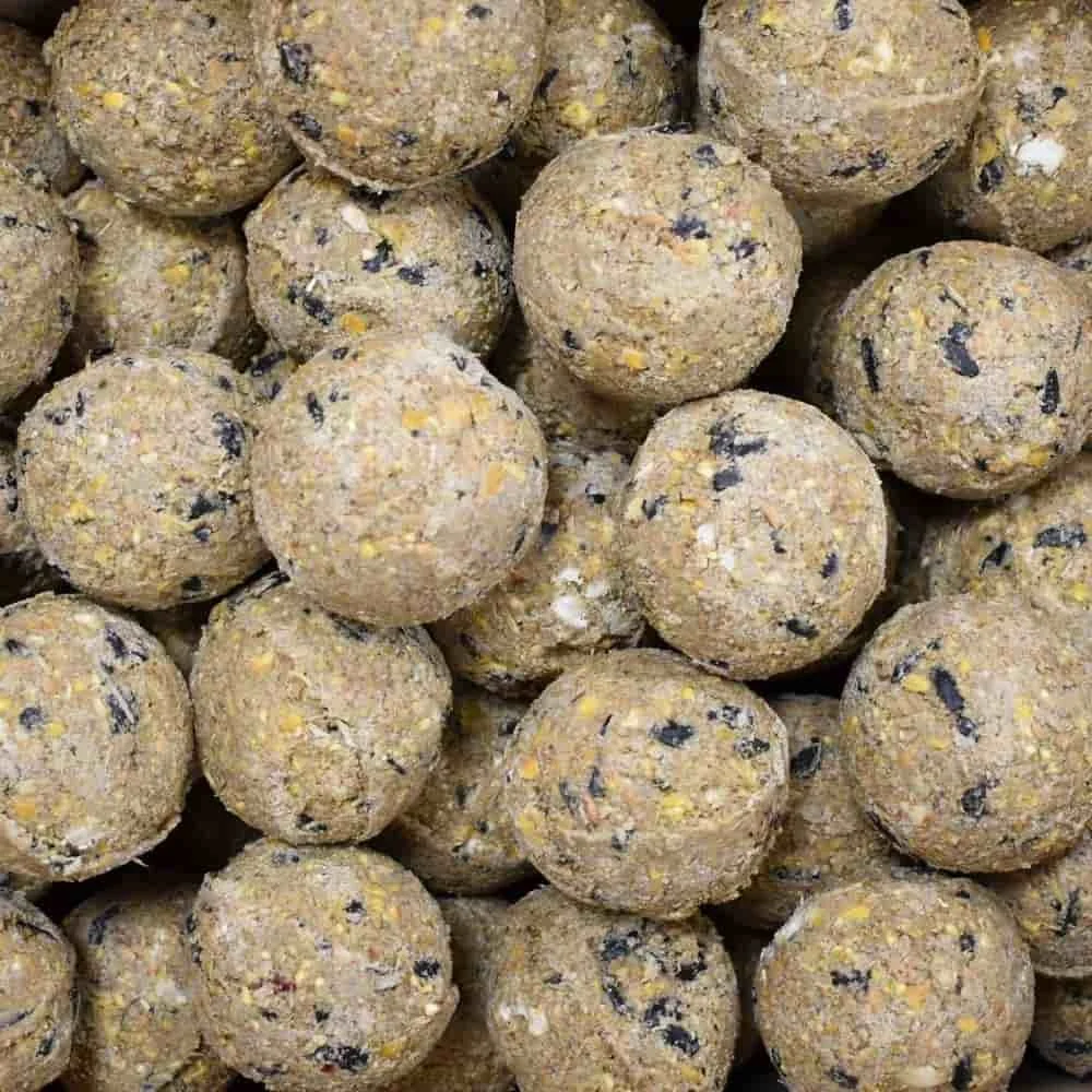 "Meisenknödel Premium mit Insekten 200 x ca.90 Gramm ohne Netz image"