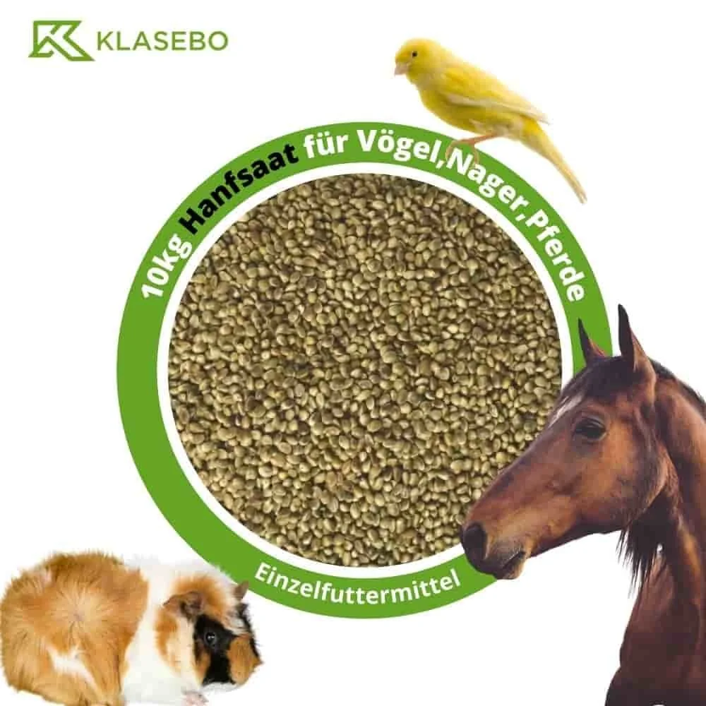"Hanfsaat 10kg für Vögel, Nager und Pferde image"