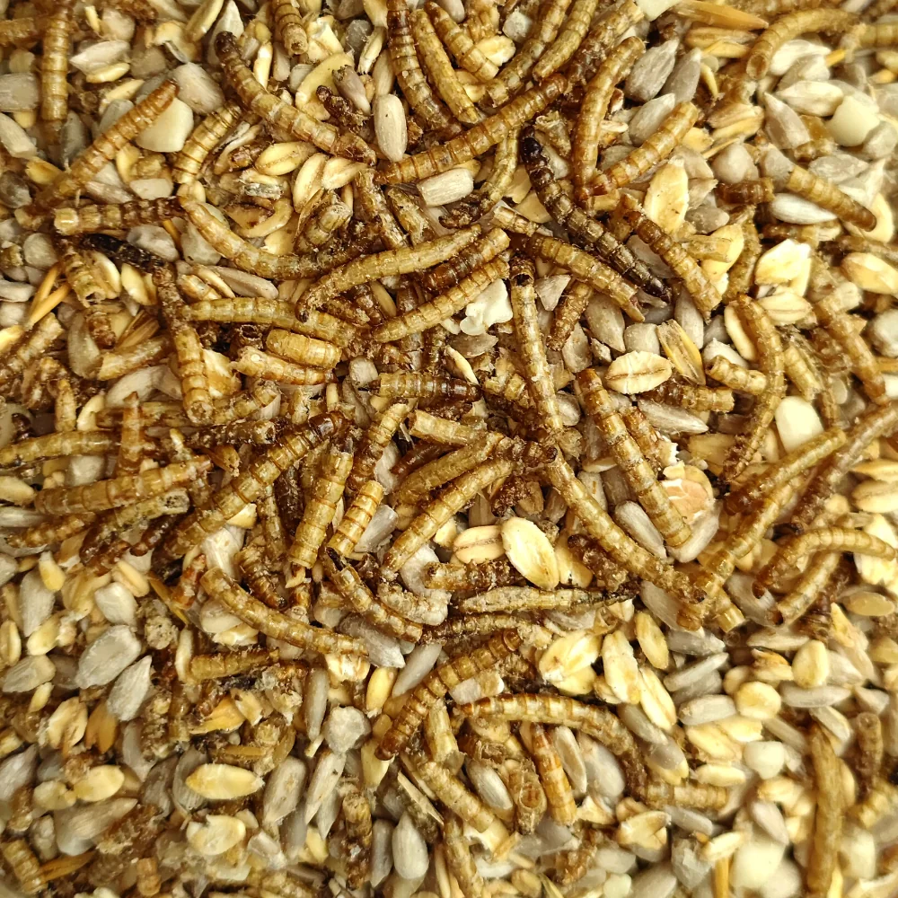 "20 kg Deluxe Vogelfutter mit Mehlwürmern schalenlos für Wildvögel image"