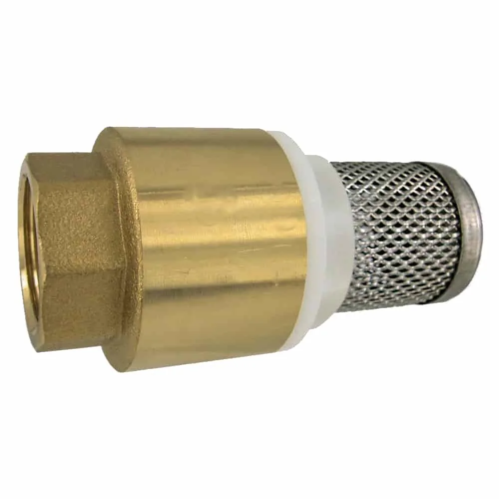 "Fussventil m. Rückschlagventil + Niro Saugkorb 1" image"