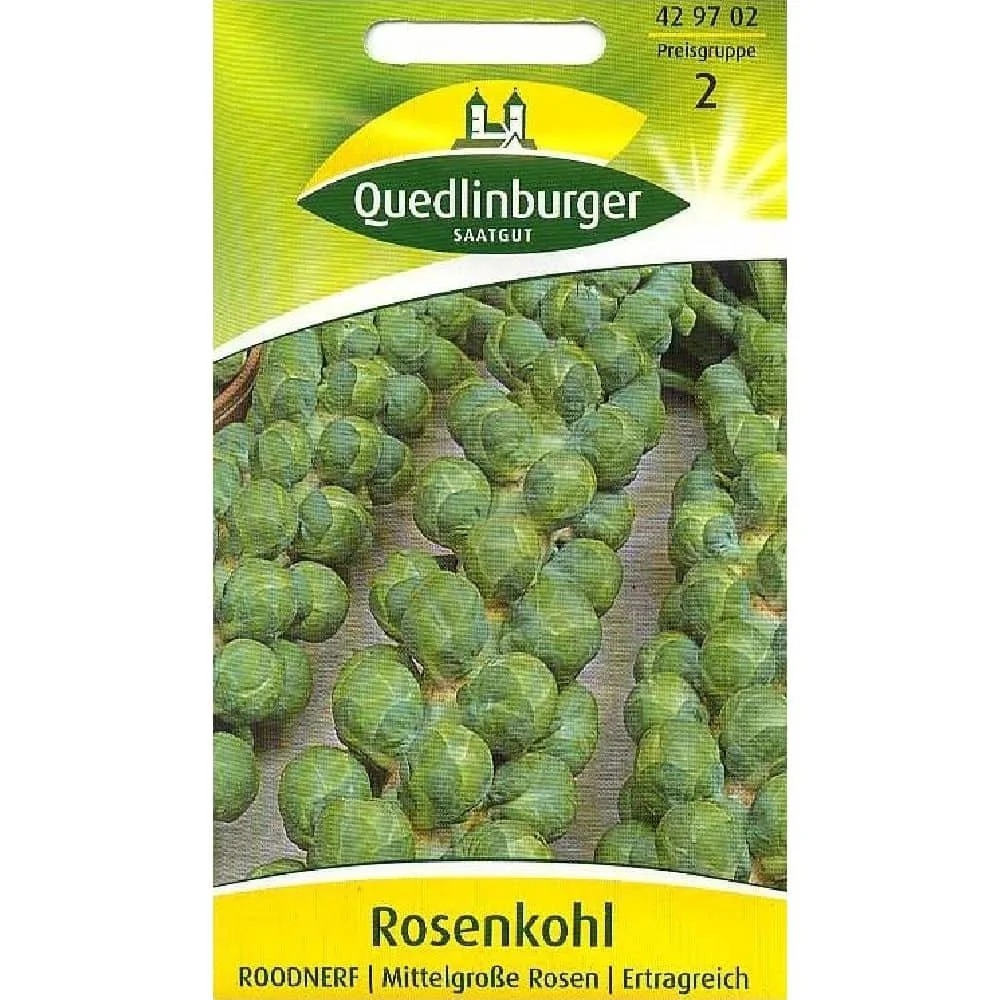 "Rosenkohl kaufen, Roodnerf Saatgut image"