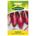 Zwiebeln, Rote Zwiebeln 'Rote von Florenz', Saatgut