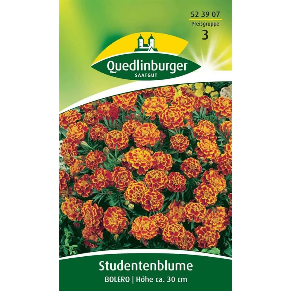 "Studentenblume, Bolero image"