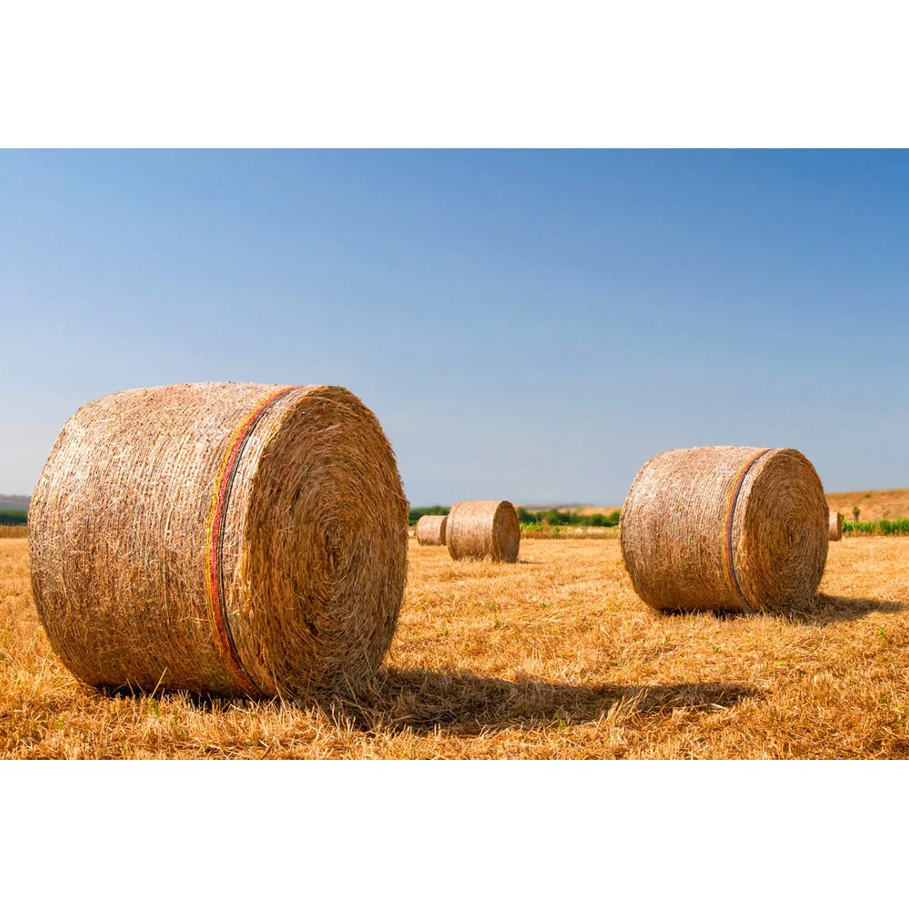 Rundballennetz 1,25 x 3000m Polywrap Premium