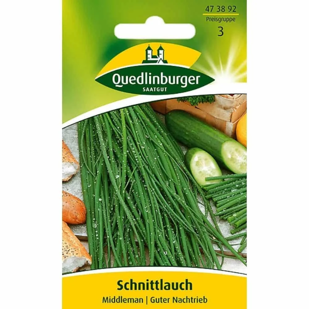 "Schnittlauch kaufen, mehrjährig Shop, pflegeleicht & aromatisch image"