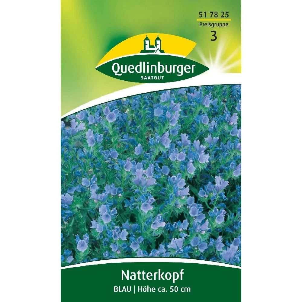 "Natternkopf blau, Bienenweide, Sommerblumen Samen image"