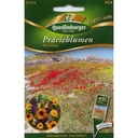 Prärieblumen Mischung, Blumensamen, Wildblumensamen