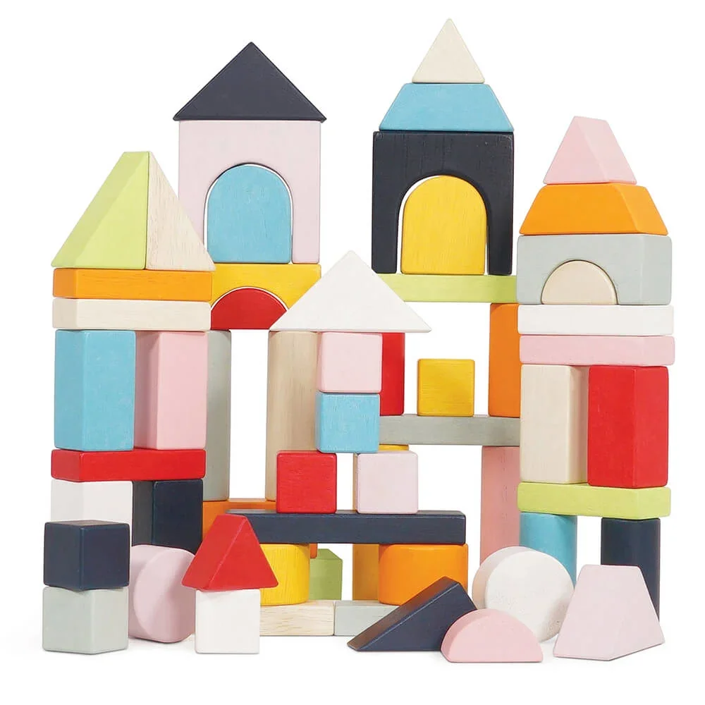 "Le Toy Van 60 Bauklötze Holz pastell bunt image"