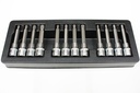 Bit Set, Stecknuss Set, 12-teilig, H5-H8, T40-T55, M6-M12, S2 Stahl, Industriequalität