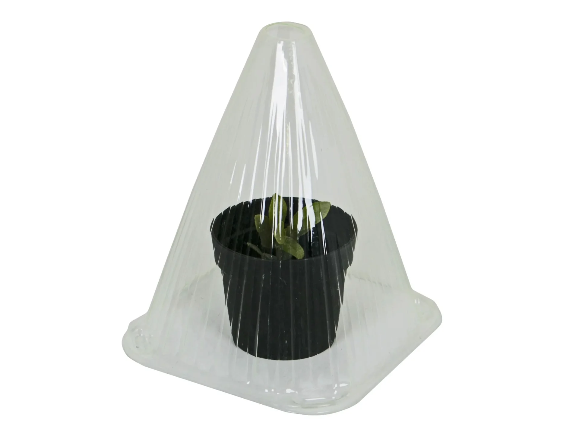 Gartenglocken für die Anzucht, 10 Stück