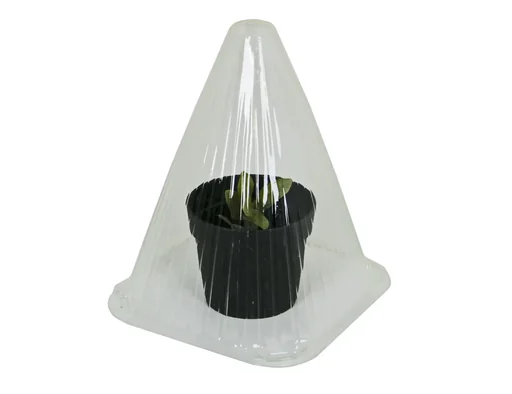 "Gartenglocken für die Anzucht, 10 Stück image"