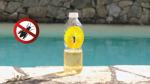 "Wespenfalle für Flaschen, 6er-Set image"