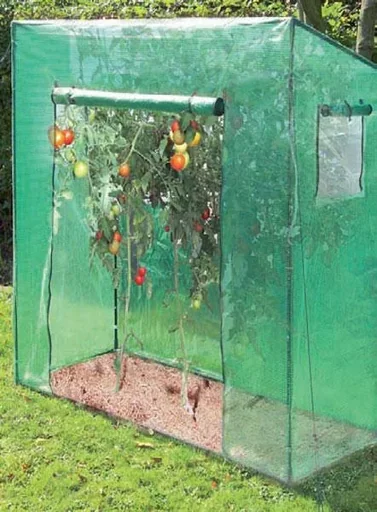 "Tomaten Gewächshaus "Groß", ca. 200 x 77 x 170 cm, LxBxH image"