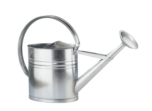 "Gießkanne verzinkt 10 L image"