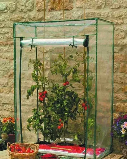 "Tomaten Gewächshaus image"