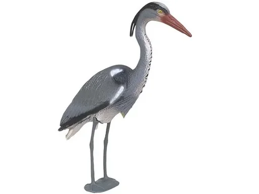 "Fischreiher   image"