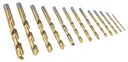 HSS-Spiralbohrer Satz, Titan beschichtet, 13-teilig