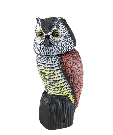 "Wind Wackel Eule image"