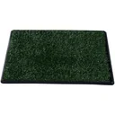 Welpentoilette Hundetoilette Welpenklo Grün 51x64cm