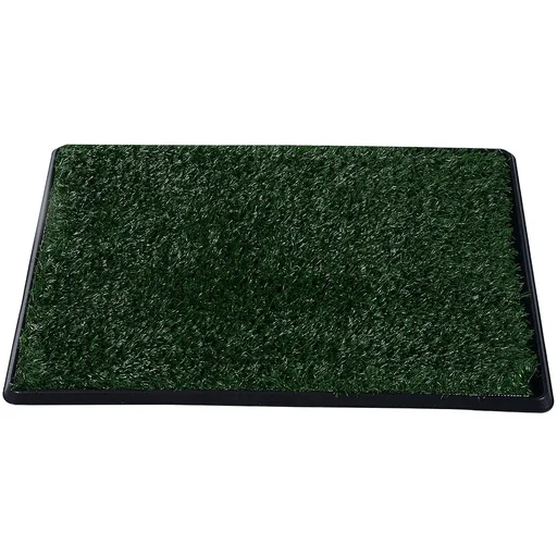 "Welpentoilette Hundetoilette Welpenklo Grün 51x64cm image"