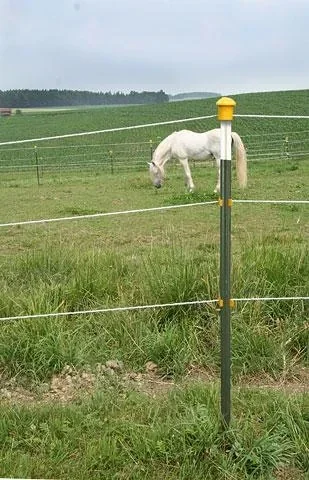 "Metallpfahl T-Post, 152 cm, 60 Stück image"