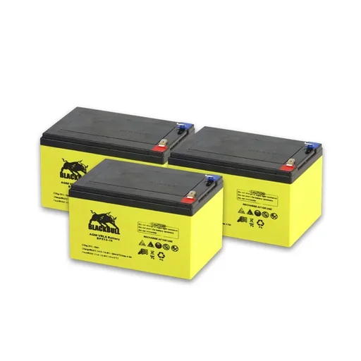 "Ersatzakku E-Roller Camper 20 km/h Basic/Safety image"