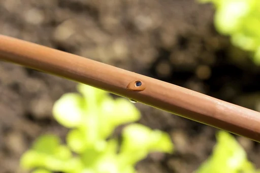 "Tropfschlauch (DP30) image"