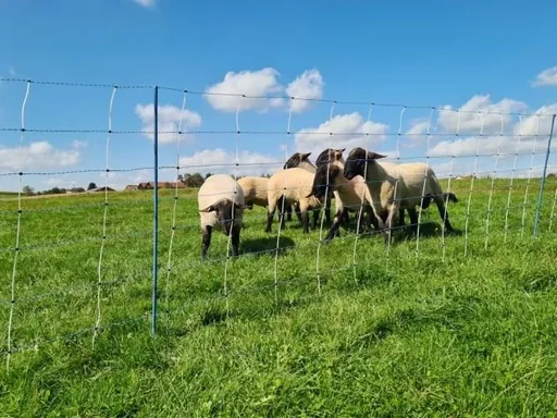 "Wolfsnetz TitanNet Premium Vario, 50 m, +/- weiß/blau, 108 cm, Doppelspitze image"