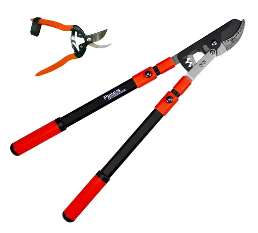 "Getriebe-Astschere und Rosen-Wunderschere image"