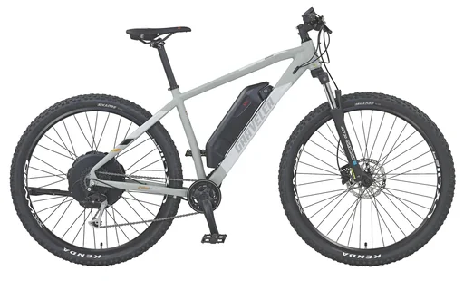 "Unisex E-Bike MTB 29 Zoll, Rahmengröße 48 cm, 9-Gang Kettenschaltung, grau matt, GRAVELER 22.EMM.20 image"
