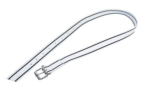 "Markierungshalsband mit Rollschnalle - für Kühe und Bullen image"