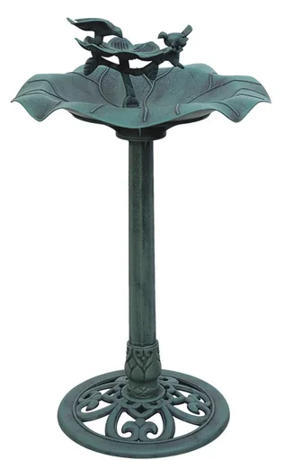 "Vogeltränke image"